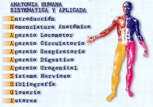 anatomia-humana